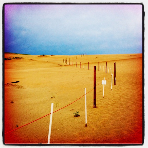 Indiana Dunes National Park : Places : Madison | Milwaukee | Chicago | Writer | Photographer | Keri Wiginton | Portrait photography | Travel | Corporate | Photojournalist | Editorial | Environmental