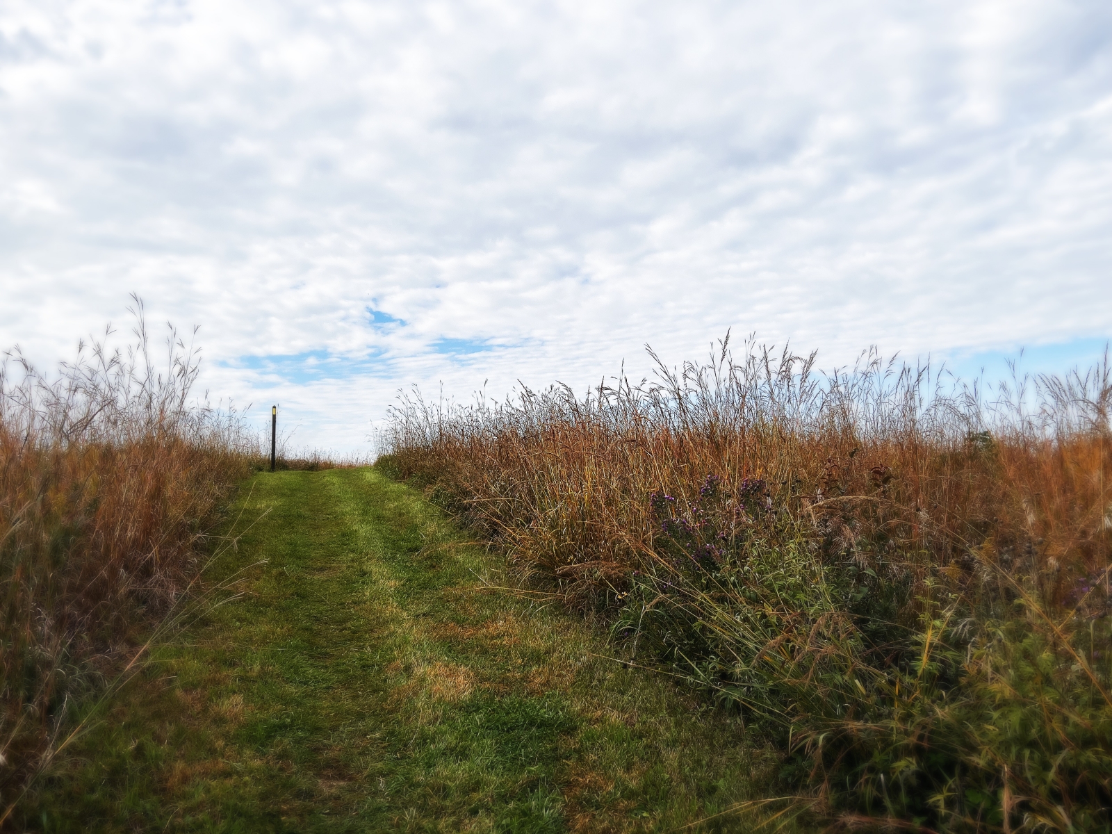  : Quiet Spaces : Madison | Milwaukee | Chicago | Writer | Photographer | Keri Wiginton | Portrait photography | Travel | Corporate | Photojournalist | Editorial | Environmental