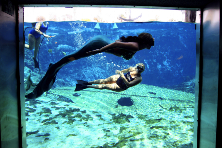 Former American Idol contestant Melissa McGhee, center, practices her mermaid swimming technique with the help of Mermaid Manager Vicki Monsegur, top left, and Mermaid Mayor Robyn Anderson at Weeki Wachee, Fla.